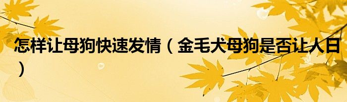 怎样让母狗快速发情（金毛犬母狗是否让人日）