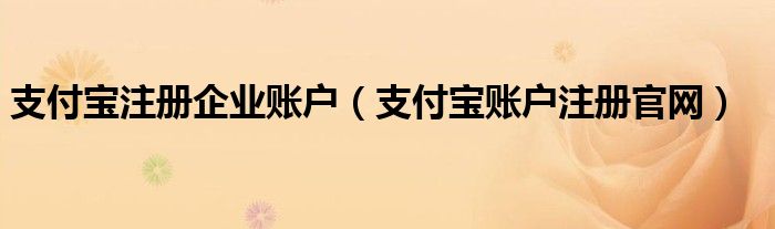 支付宝注册企业账户（支付宝账户注册官网）