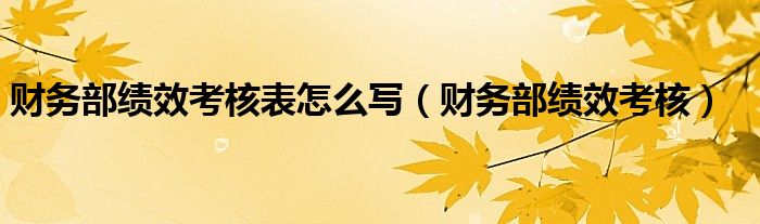 财务部绩效考核表怎么写（财务部绩效考核）