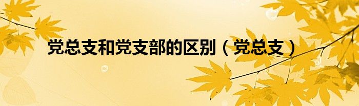 党总支和党支部的区别（党总支）