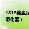 1818黄金眼直播在哪里 1818黄金眼成网红孵化器）