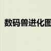 数码兽进化图鉴大全集 v仔兽10个装甲进化