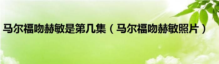 马尔福吻赫敏是第几集（马尔福吻赫敏照片）