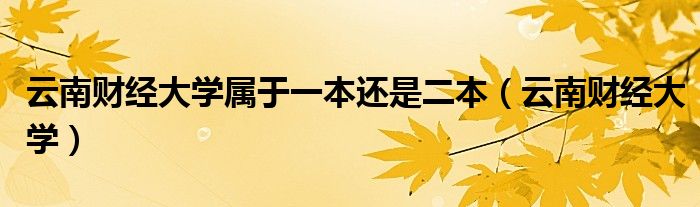 云南财经大学属于一本还是二本（云南财经大学）