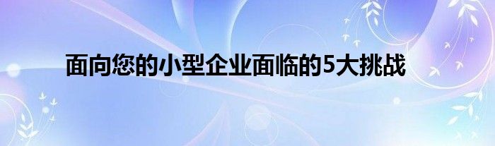 面向您的小型企业面临的5大挑战