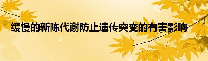 缓慢的新陈代谢防止遗传突变的有害影响