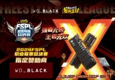 WDBLACK硬核助力2024FSPL职业联赛总决赛